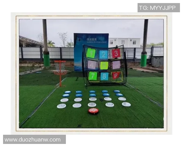 飞盘之旅：深入了解重庆飞盘队的耐力与团队精神